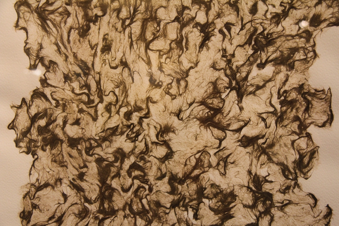 Ausstellung Höribachhof4