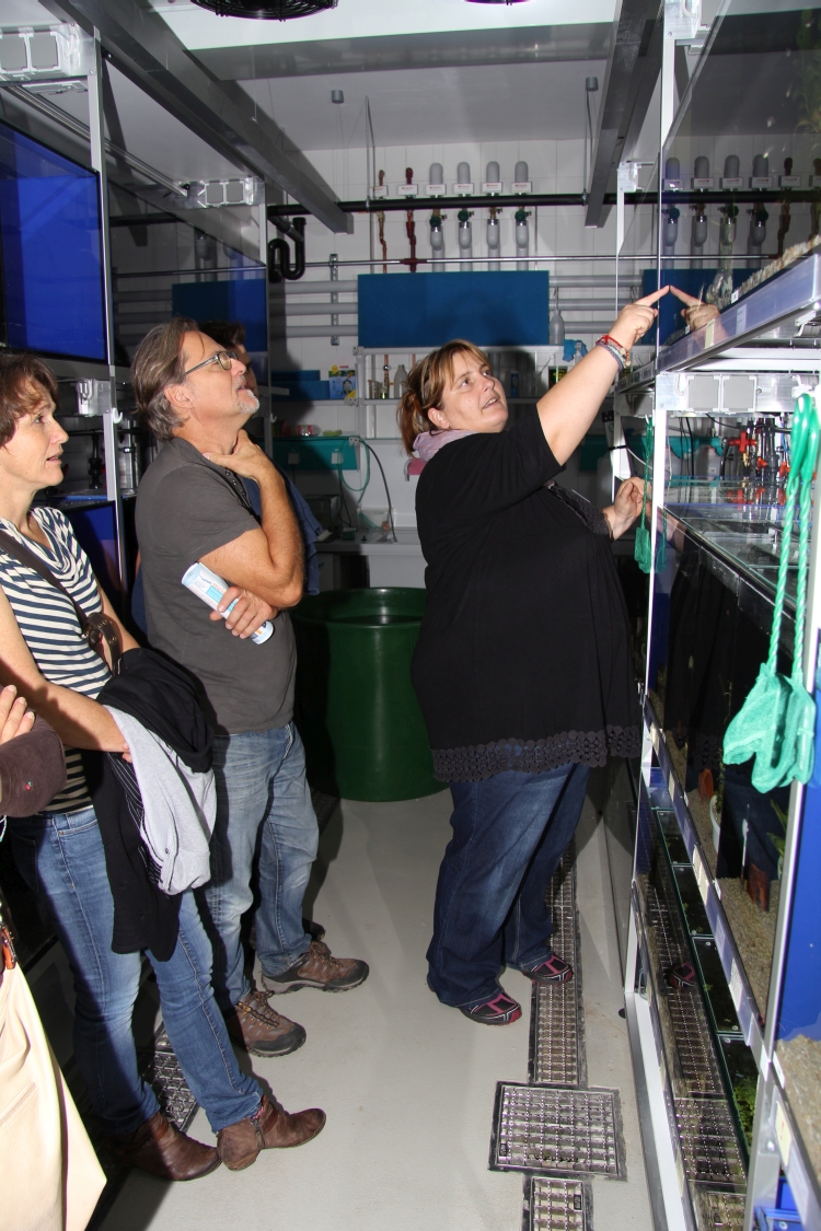 Aquarienraum Aliens in unseren Gewaessern