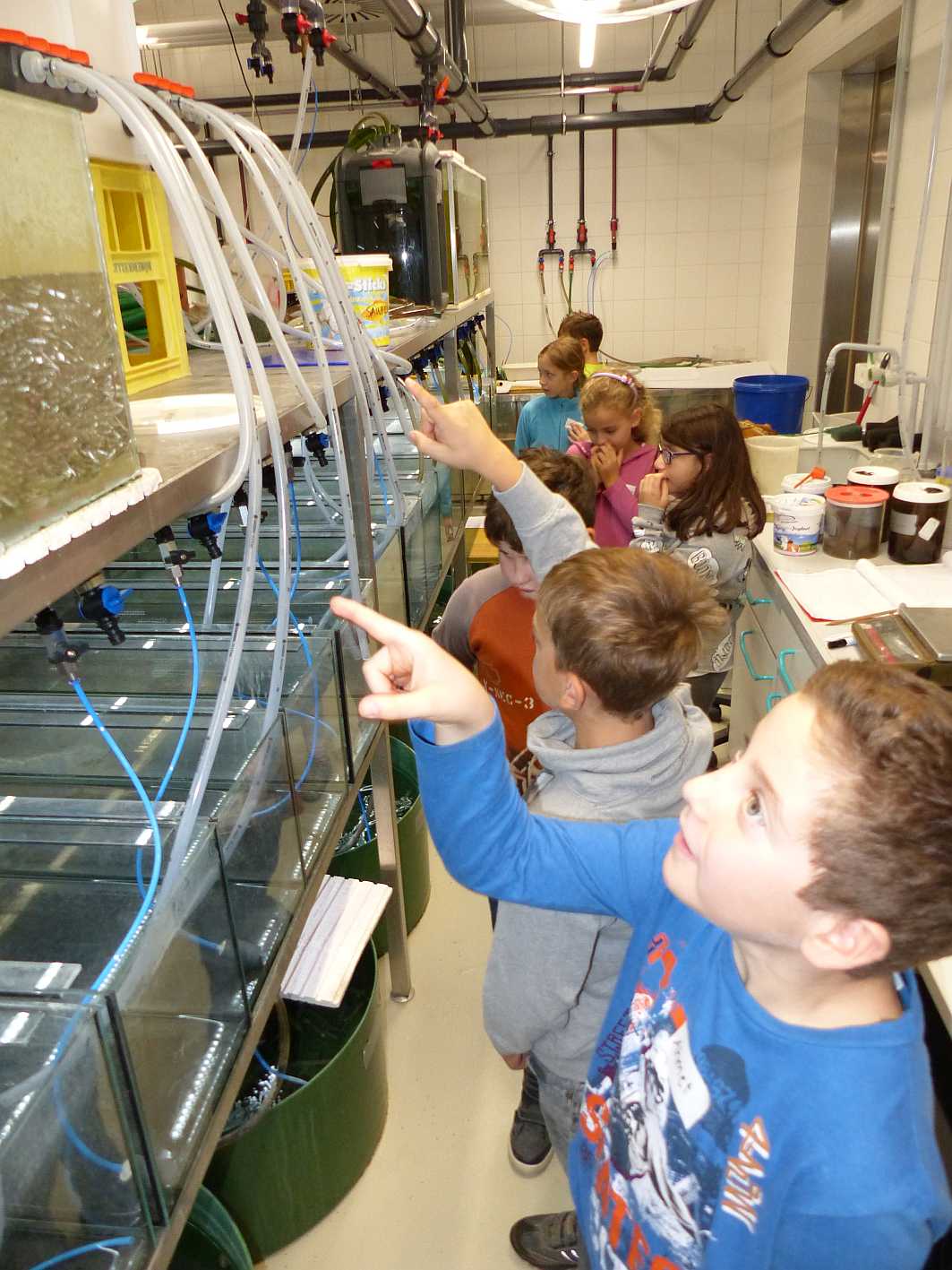 Aquarienraum Exkursion VS TILO 2016