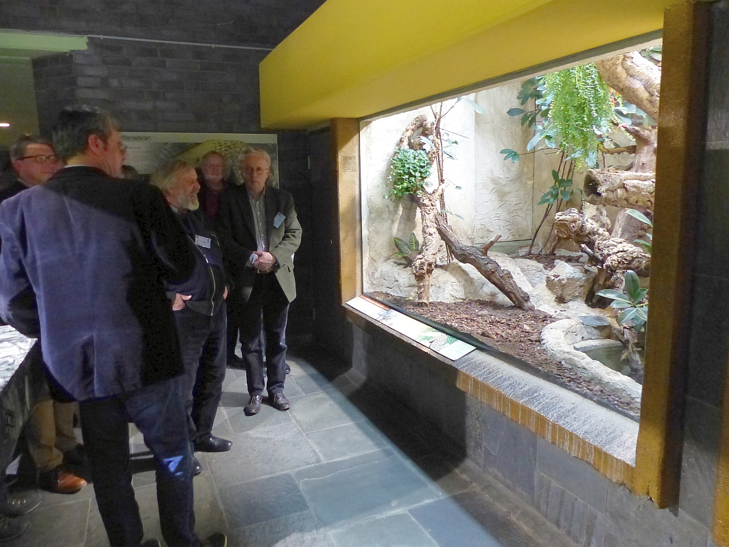 Koelner Zoo-Fuehrung DGP 2018