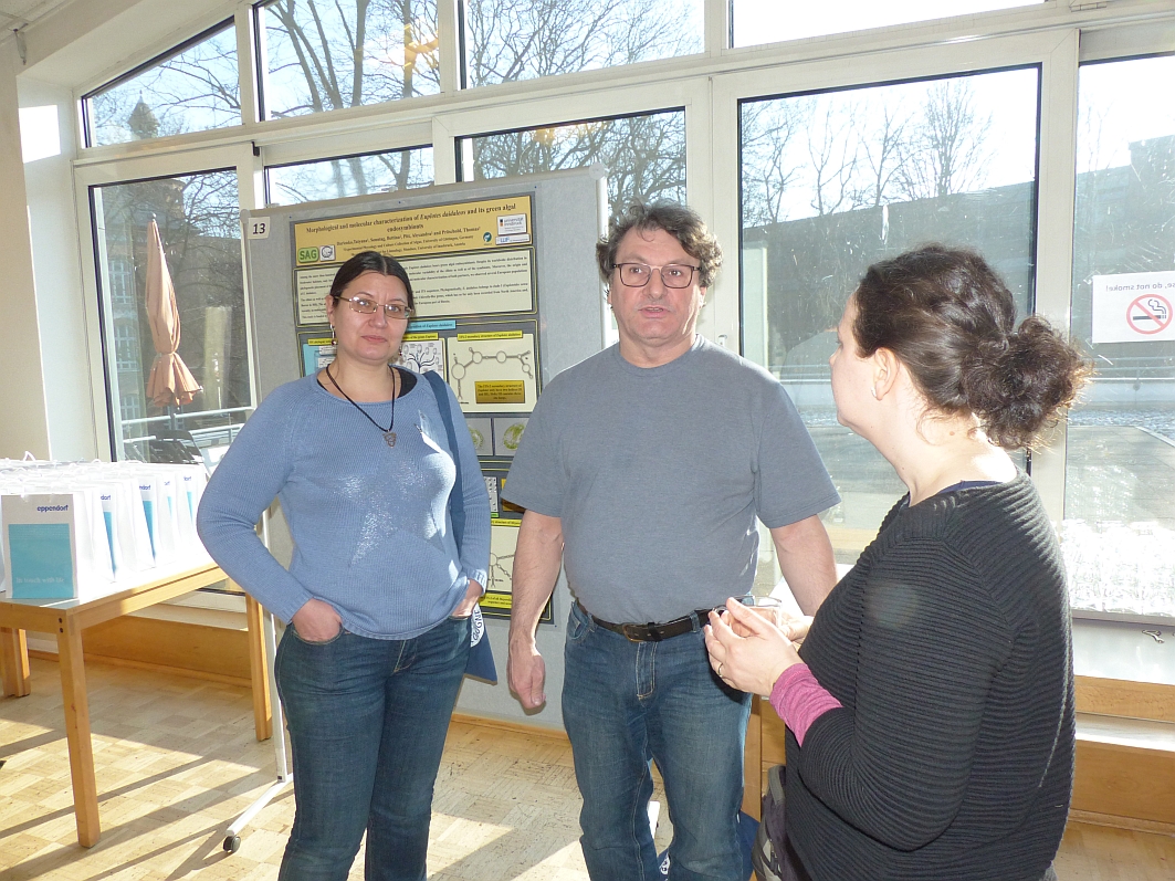 Poster-2 DGP Koeln 2018-Proeschold