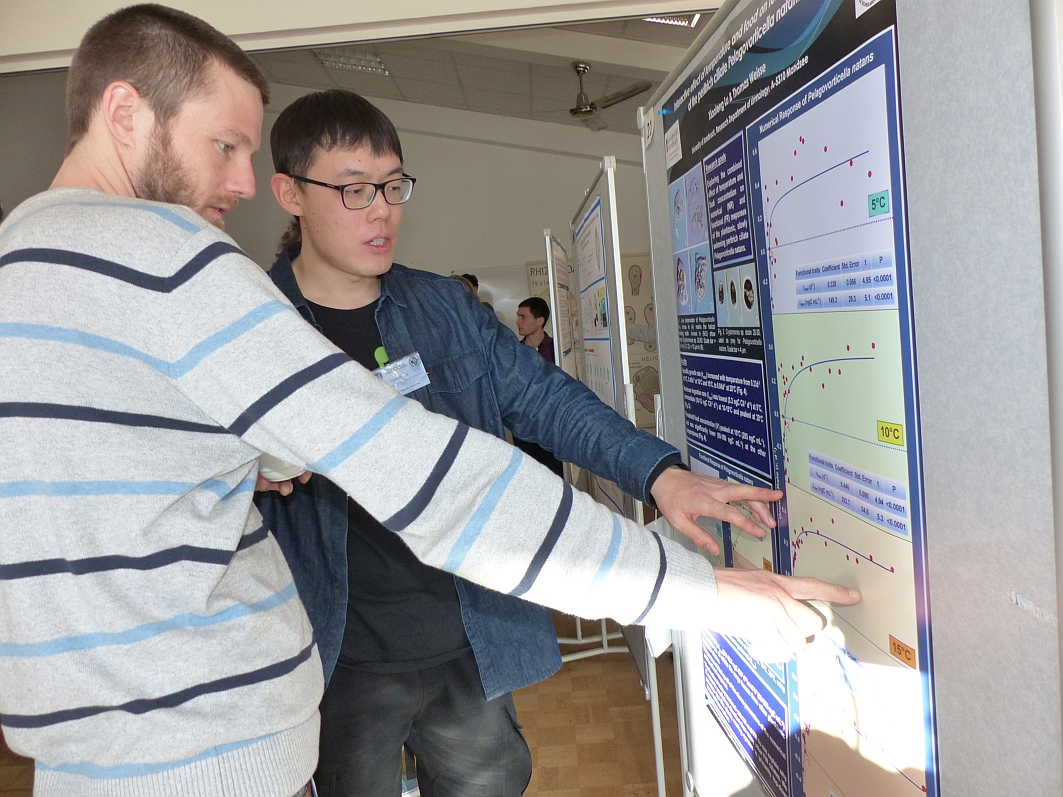 Poster-4 DGP Koeln 2018-Lu