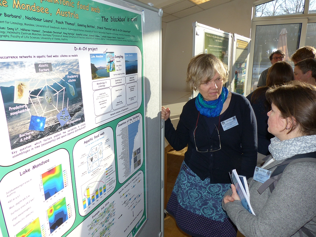 Poster-3 DGP Koeln 2018-Scheffel