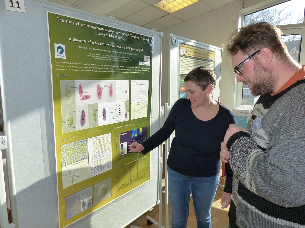 Poster-5 DGP Koeln 2018-Sonntag