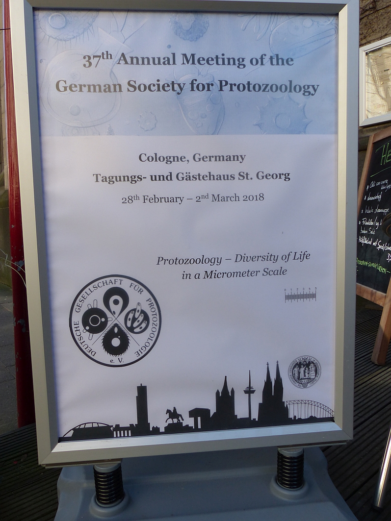 Tagungsposter-DGP Koeln 2018