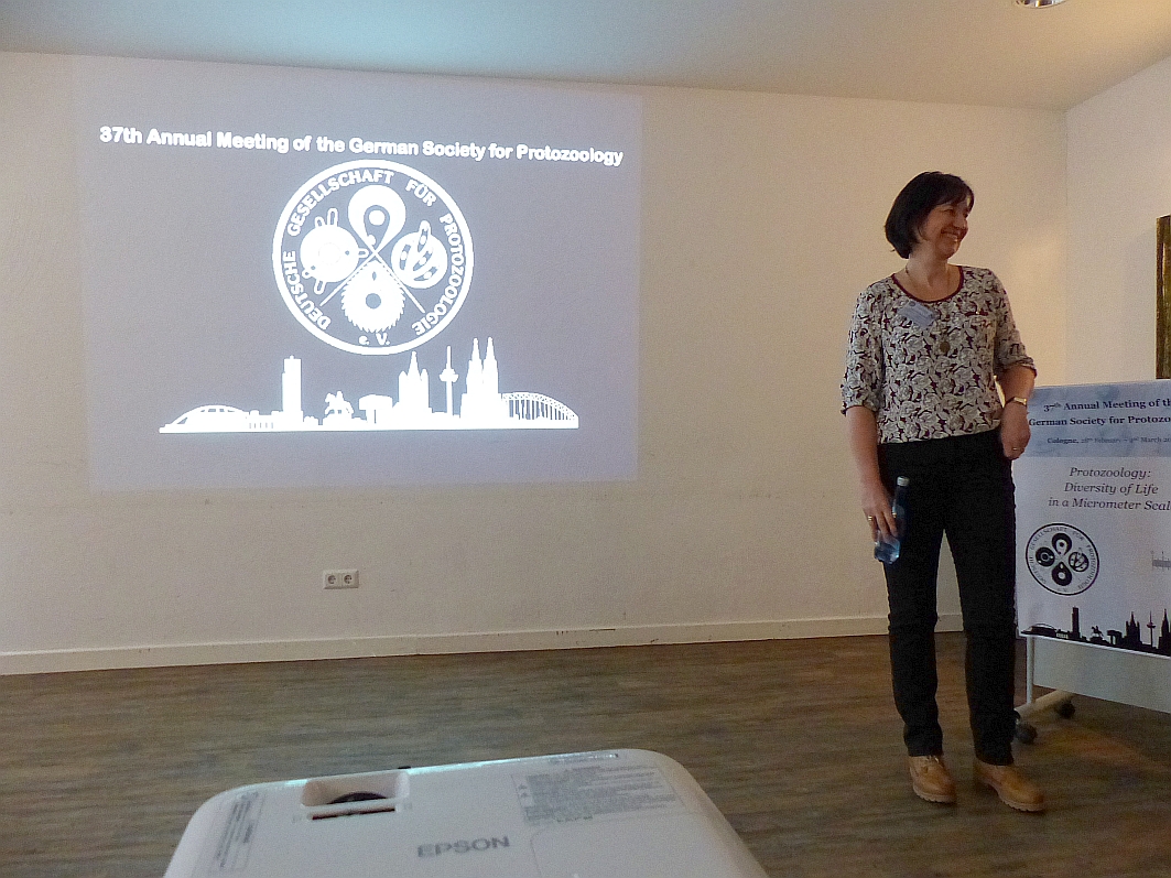 Vortrag DGP 2018 Koeln-Wanzenboeck