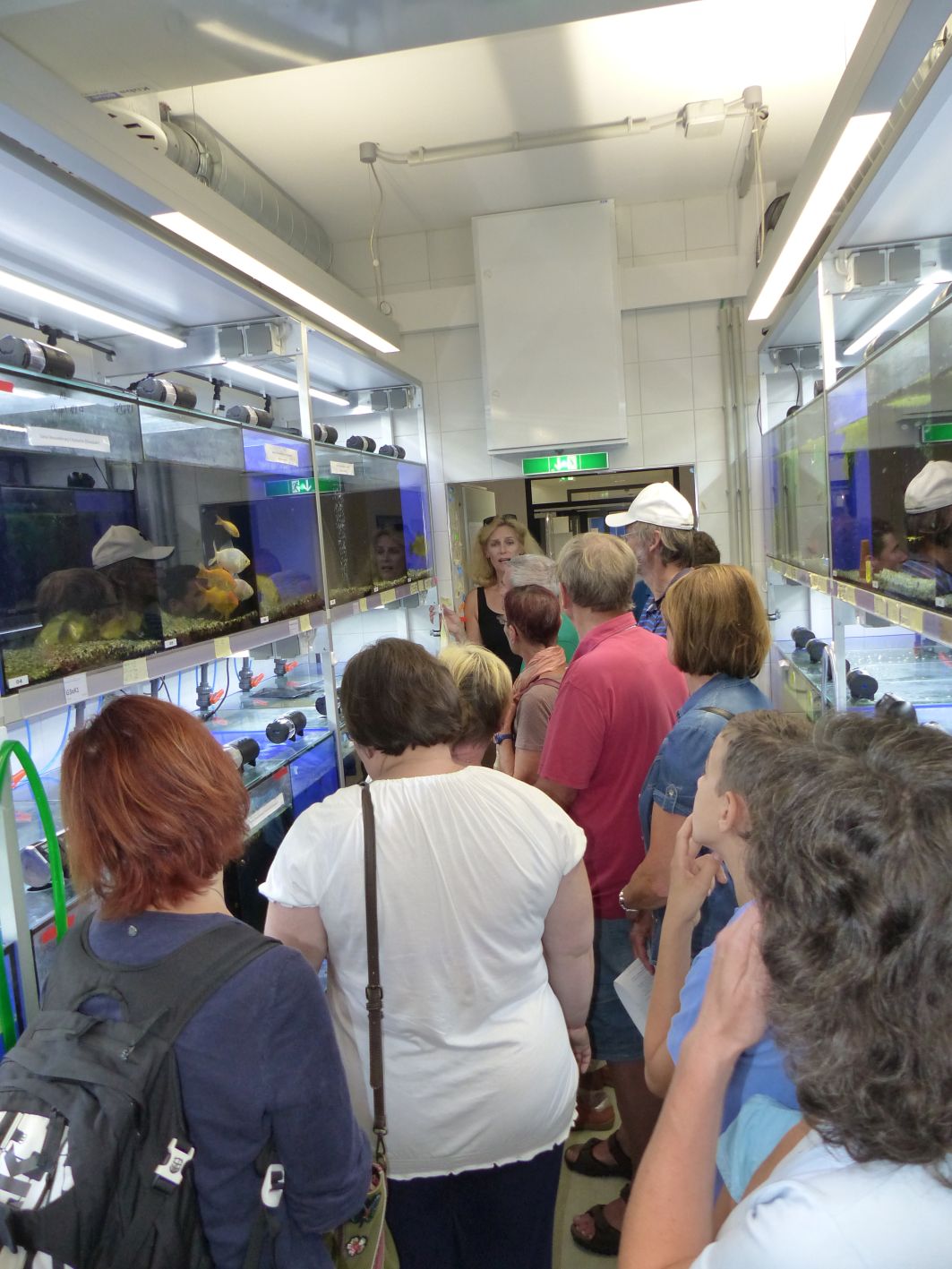 Sommerradio OÖ 2018 ILIM-Aquarienraum2