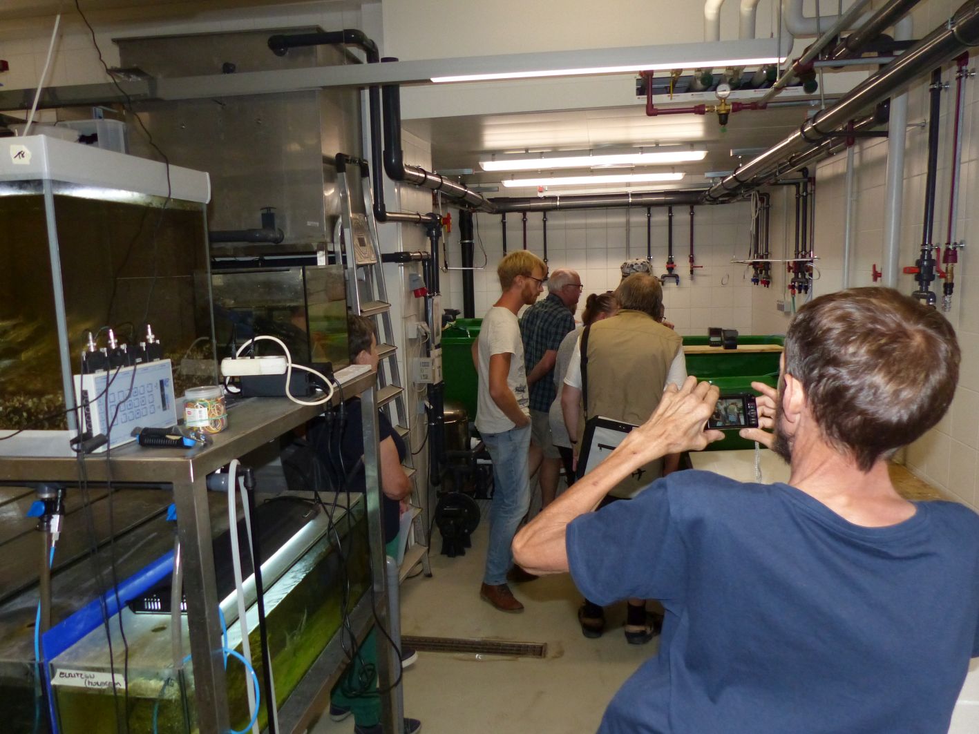 Sommeradio OÖ 2018 Aquarienraum 1