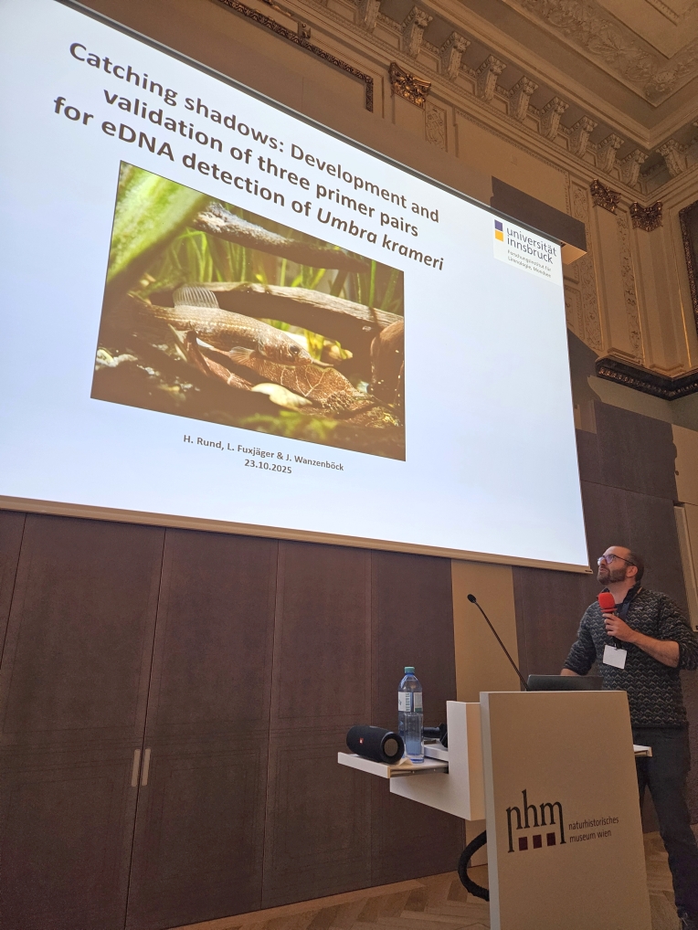 more mudminnow talks