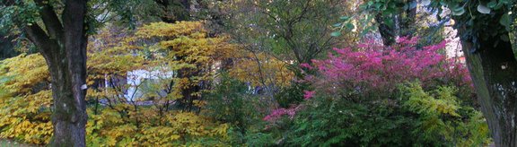 Herbst im Arboretum