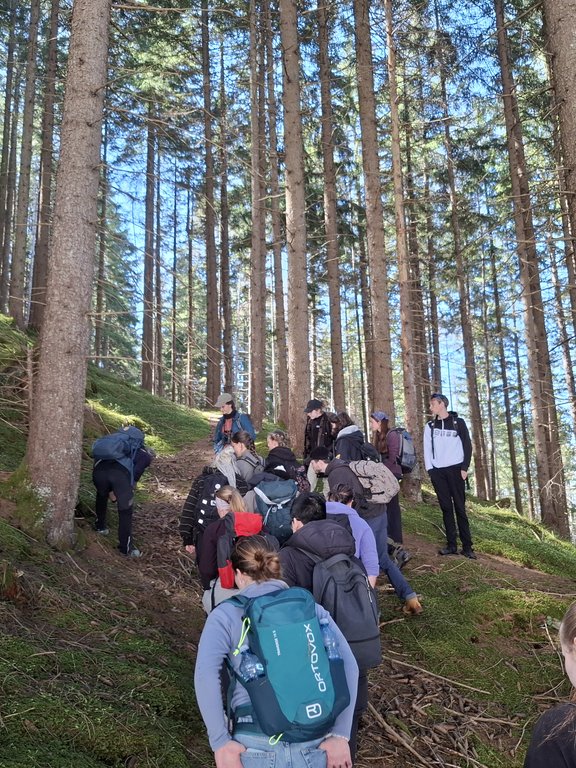 Studenten bahnen sich ihren Weg durch den Wald des Patscherkofels