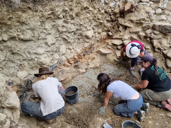 Aktuelle Grabungsarbeiten