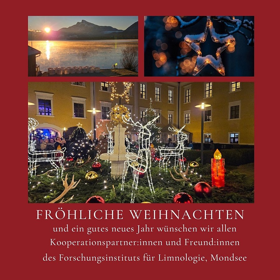 Frohe Weihnachten