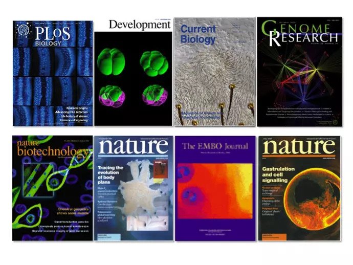 Cover photos of different journals