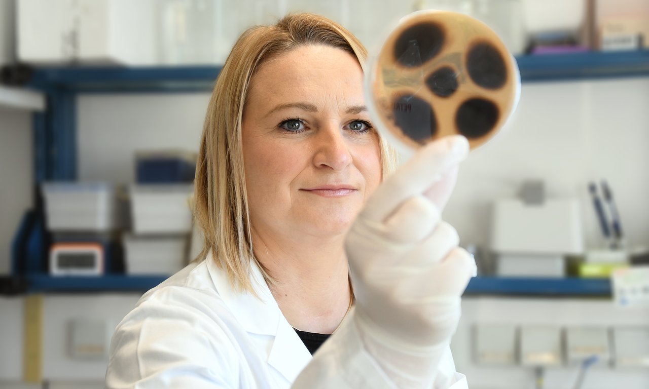 Eine Person hält eine Petrischale mit der rechten Hand in die Höhe