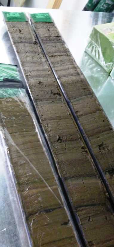 Sediment cores from Chilean lakes