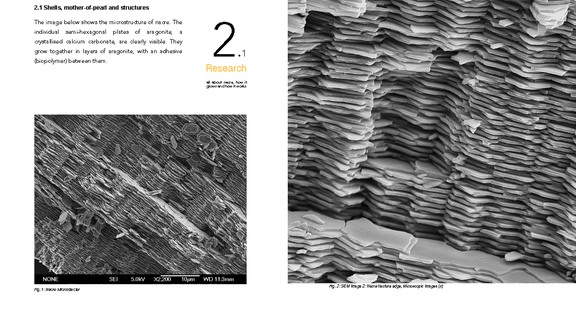 FMigga_ReWOOD_Explosionszeichnung