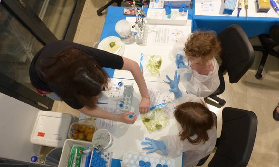 Stand bei der LNF in Mondsee: Blick von oben auf Kinder und eine Wissenschaftlerin, auf einem Tisch sind Algen in Plastik