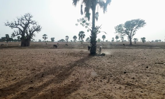 Die Sahelzone im Senegal.