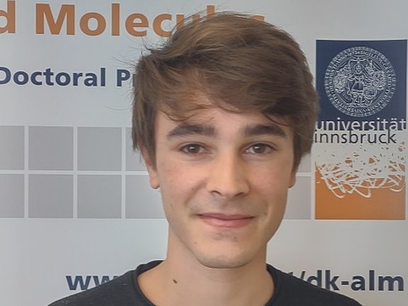 Tommaso Faleo