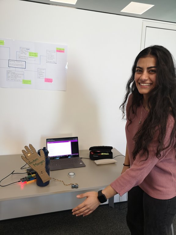 Begrüßungsrobotor von Tas Sariye