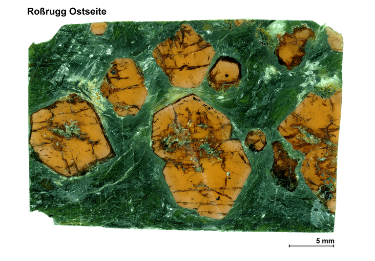 Dickschliff einer Probe von der Ostseite des Roßruggs, orangefarbene Granate, grüner Chlorit