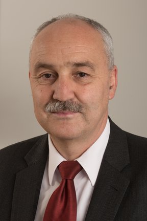 Wolfgang Palaver