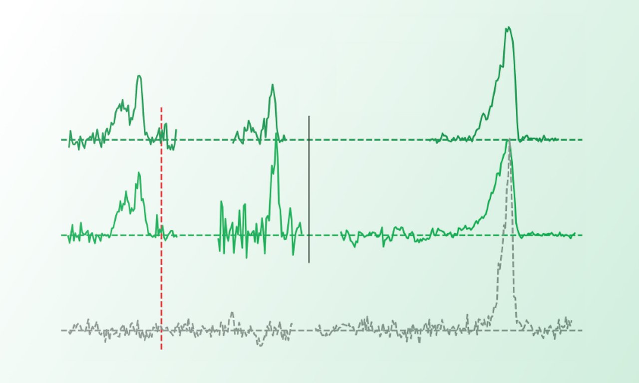 Franziska Dahlmann and her colleagues were able to experimentally identify spectral lines previously proposed by theoreticians from Bordeaux and Paris.