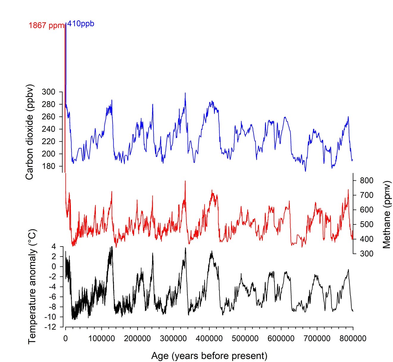 Figure antarctica