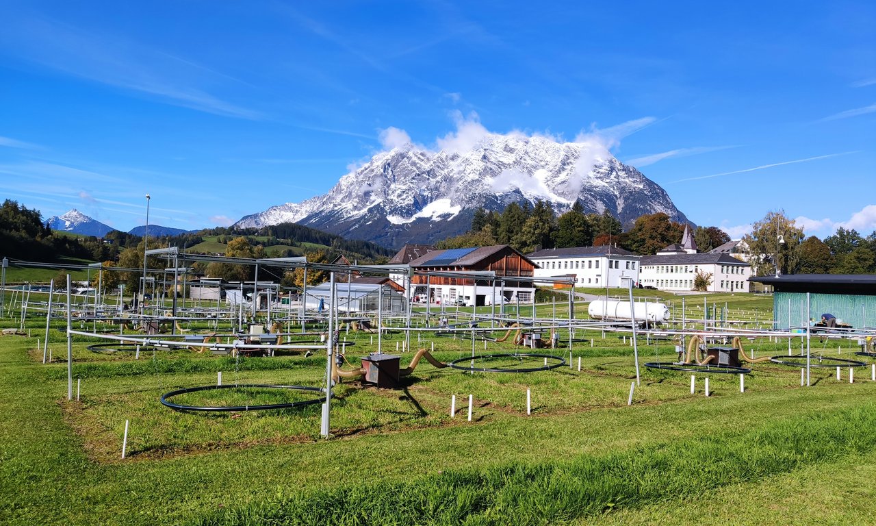 Versuchsanlage mit ringförmigen Klimasimulations-Modulen auf einer Wiese, im Hintergrund ein schneebedecktes Bergmassiv.