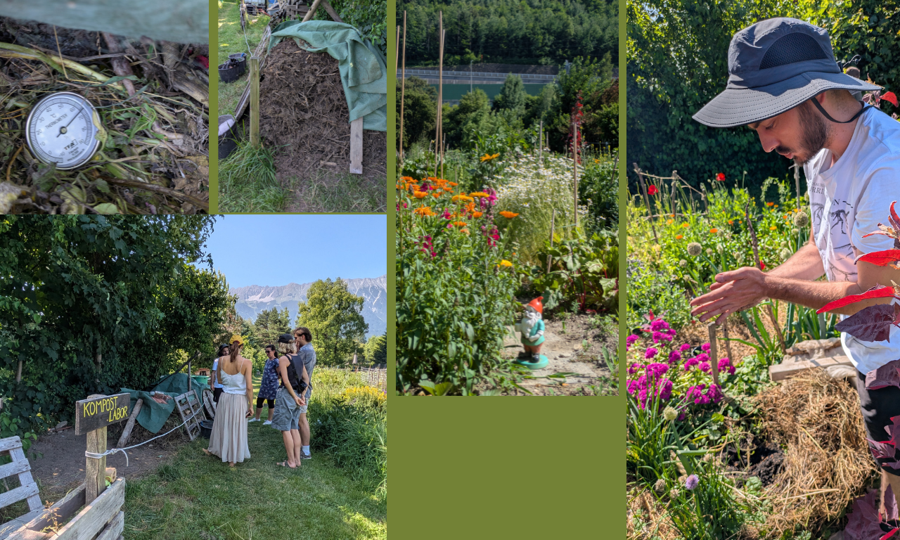 Impressionen des Workshops im Gemeinschaftsgarten