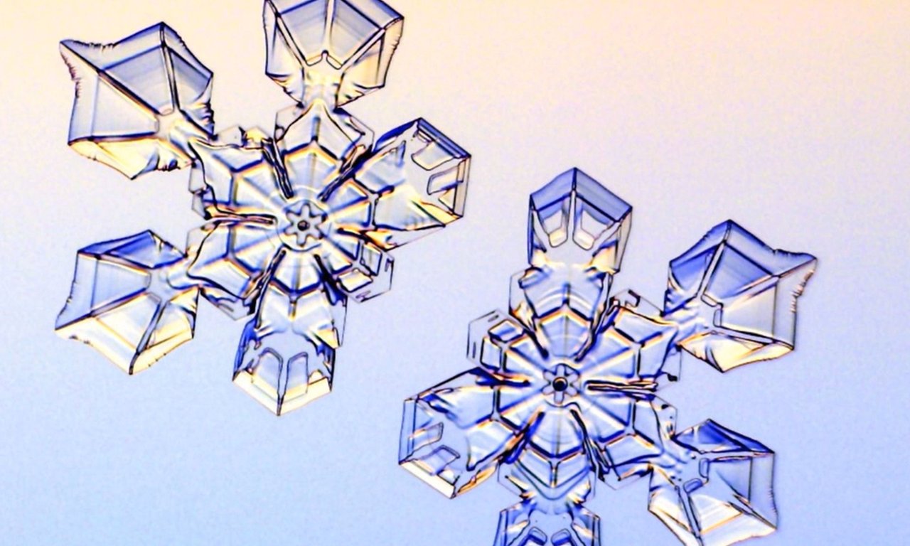 Mikroskopisches Bild von zwei sternenförmigen Eiskristallen