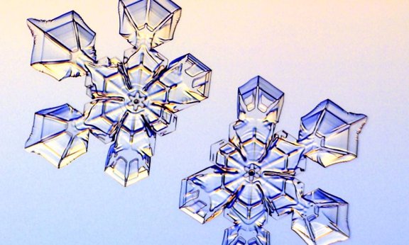 Mikroskopisches Bild von zwei sternenförmigen Eiskristallen