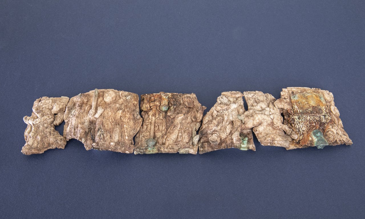 Beige-brownish fragments of ivory laid side by side on a blue background.