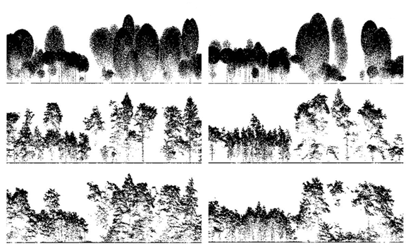 Bäume als Vermessungsobjekt