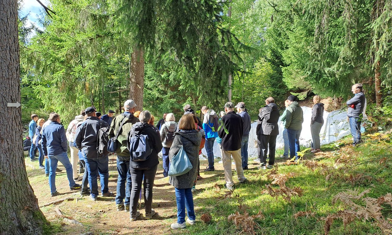 Teilnehmer:innen im Wald bei der Hohen Birga