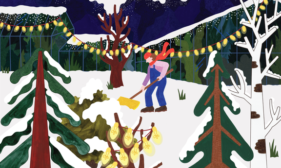 Illustration einer winterlichen Landschaft