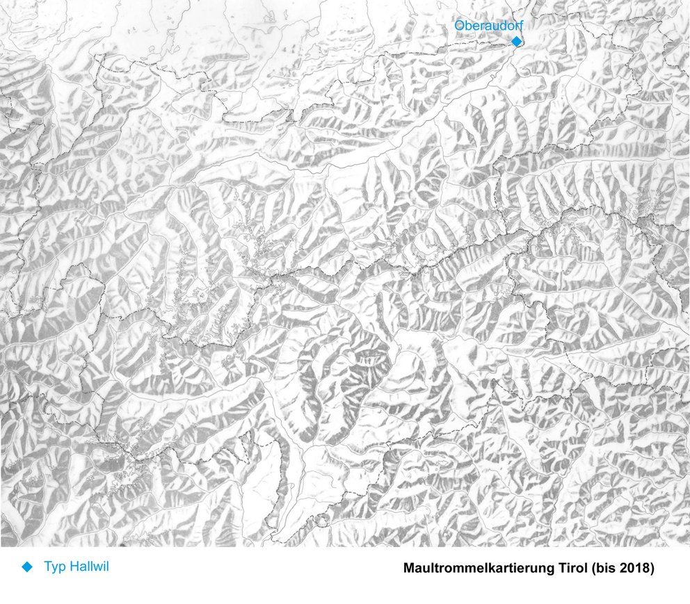Kartierung Typus Hallwil