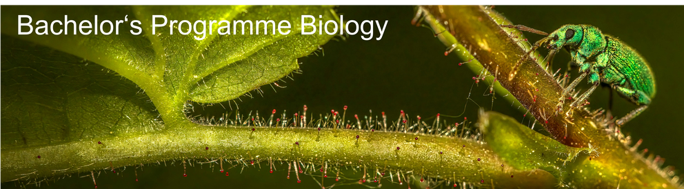 banner for courses taught in Bachelor programme Biology