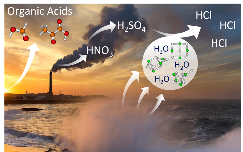 Reactions of sea salt aerosols with organic acids