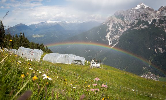 Regenboge über einer Wiese in den Alpen mit Plastikplanen, die einen Bereich abstecken