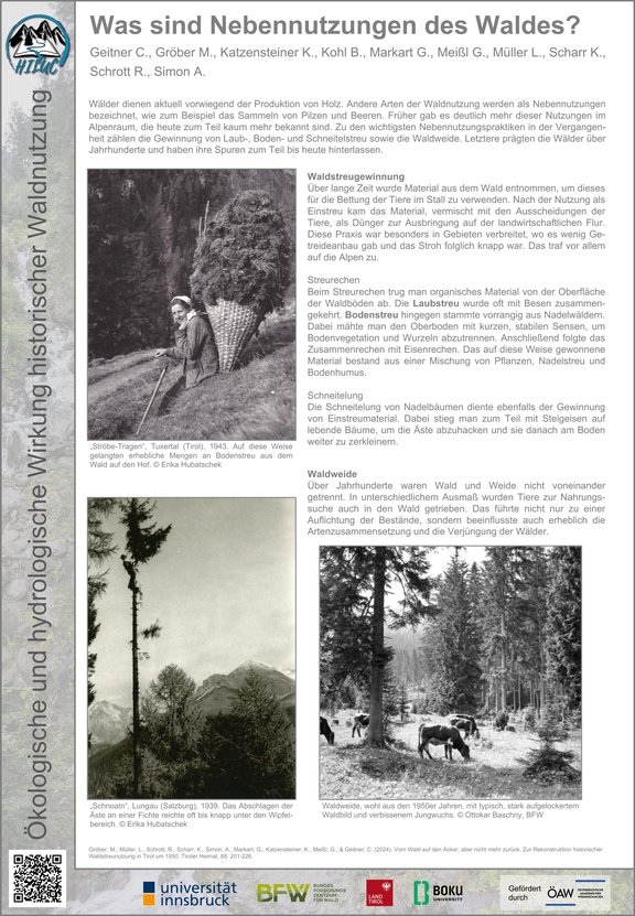 Was sind Nebennutzungen des Waldes?