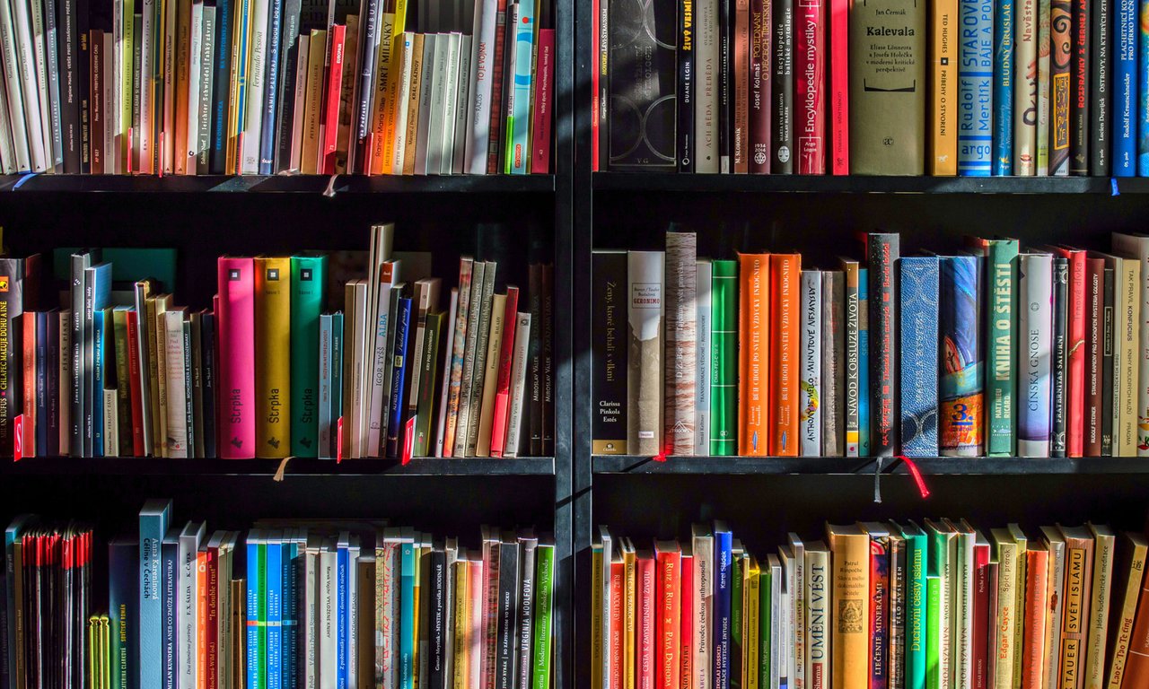 Symbolbild zum Buchtipp: Bücherregal