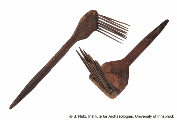 Wollkäemme/wool combs