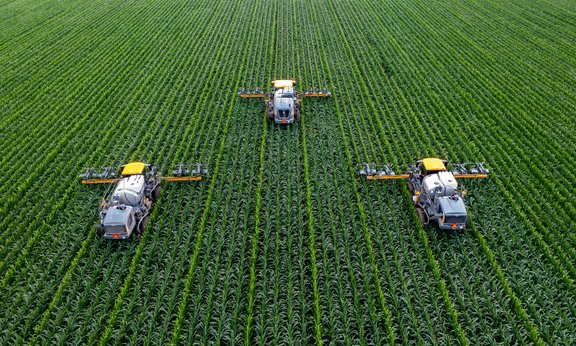 Double BIP at Palacky