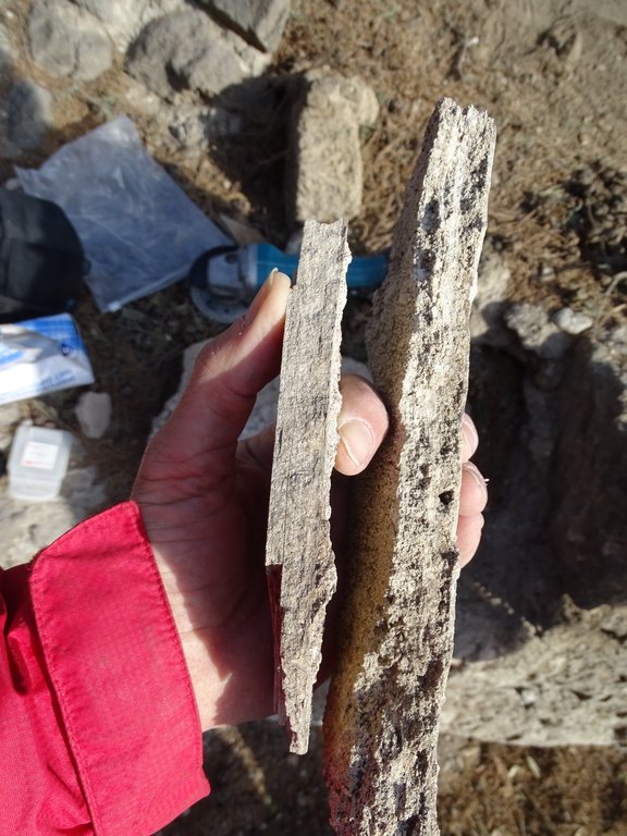 Zwei flache Steinstrukturen, die von einer Person in die Kamera gehalten werden.