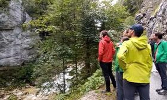 Mehrere Personen stehen auf einem Waldweg und blicken alle auf einen großen Felsen.