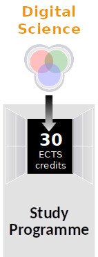 Shows a box with 30 ECTS credits (minor) within a larger box representing the major.