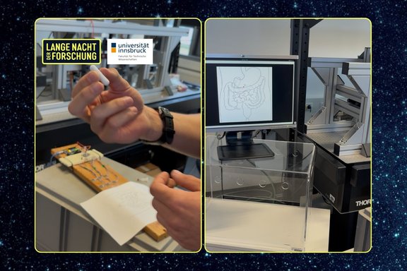 Experiment zeigt Nanopartikel im Einsatz gegen Tumore