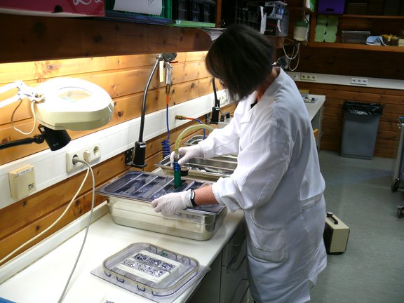 Rostiges Eisen. Vorbehandlung von archäologischen Eisenfunden für die Natriumsulfitentsalzung, Bild 2